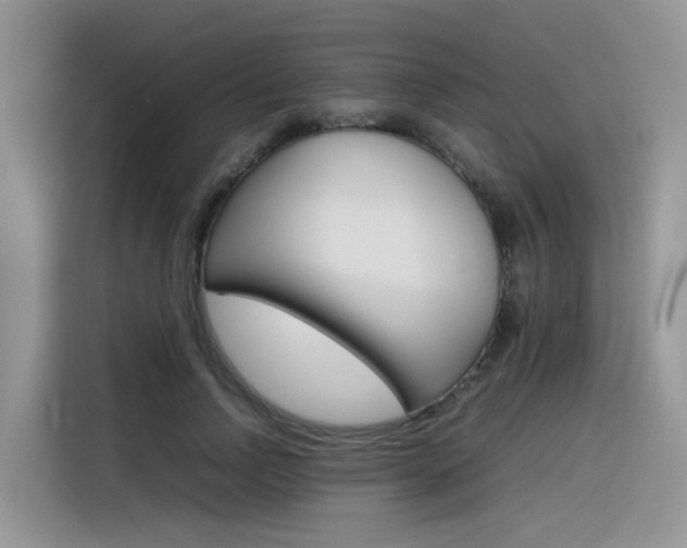 X0000116350742200912011038