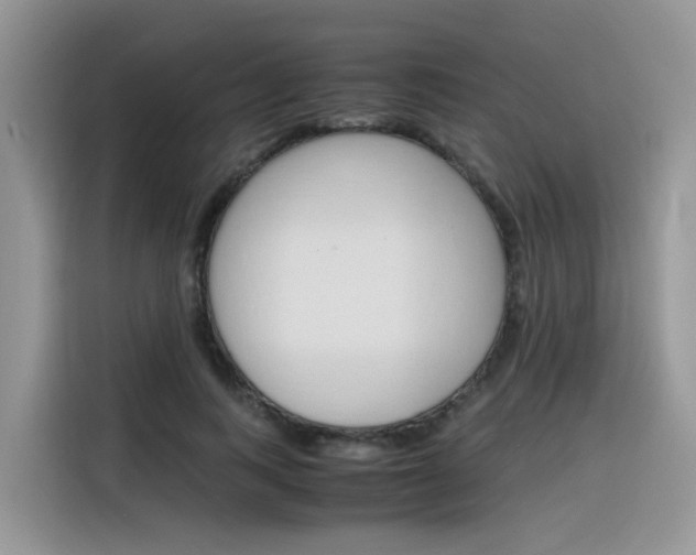 X0000116350743200912011038