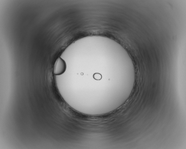 X0000116350746200912011038
