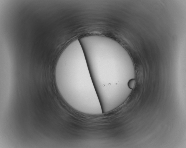 X0000116350747200912011038