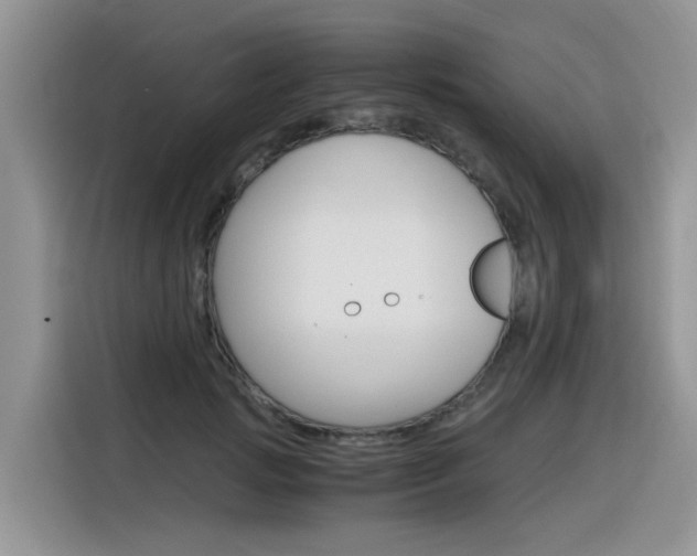 X0000116350749200912011038