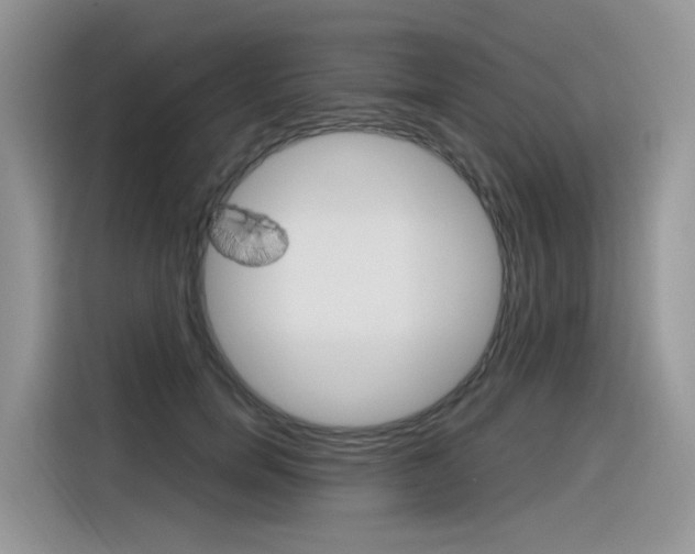 X0000116350750200912011038