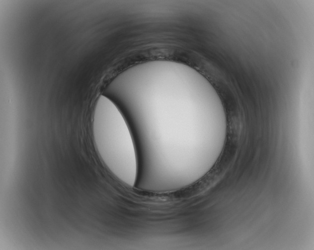 X0000116350751200912011038