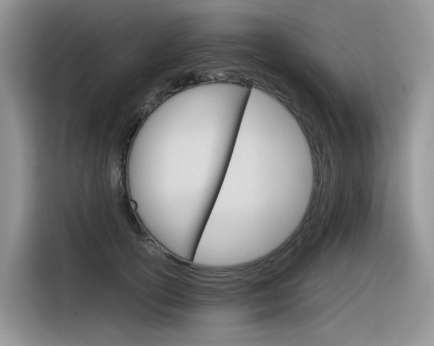 X0000116350754200912011038