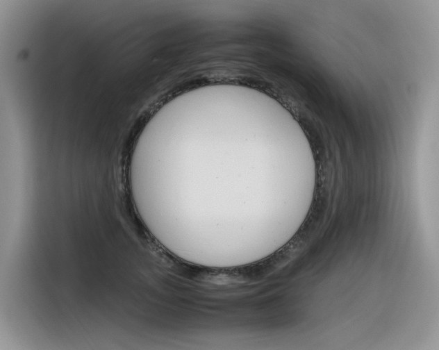 X0000116350755200912011038