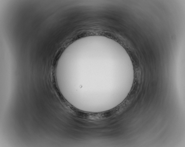 X0000116350757200912011038