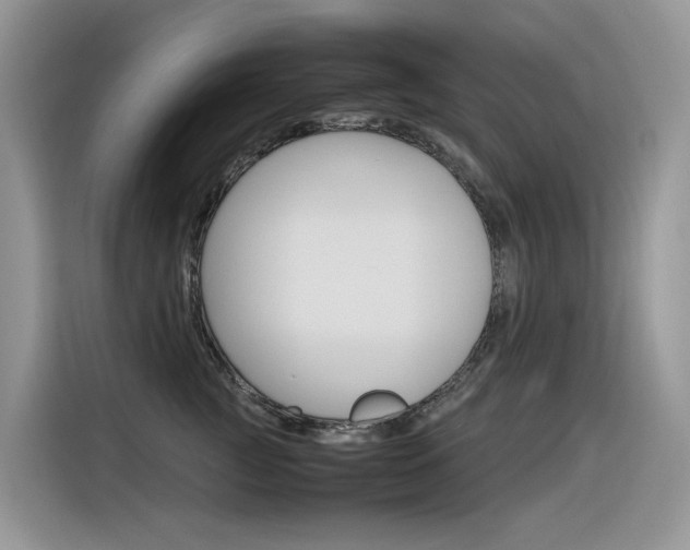 X0000116350761200912011038