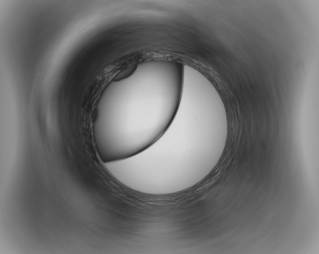X0000116350762200912011038