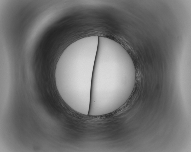 X0000116350763200912011038