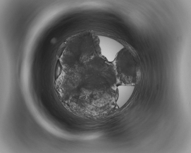 X0000116350765200912011038