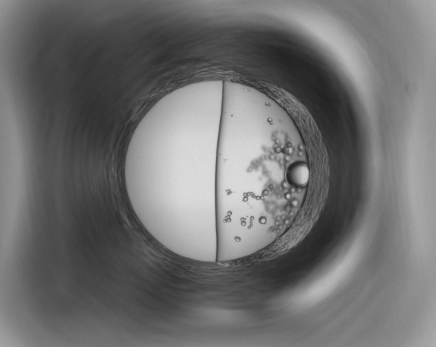X0000116350767200912011038