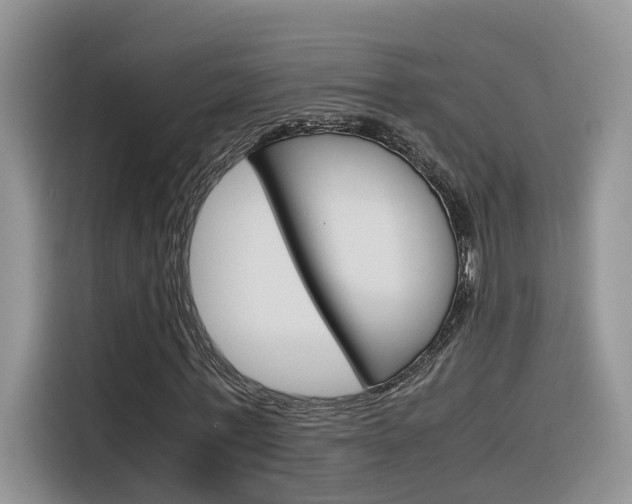 X0000116350771200912011037