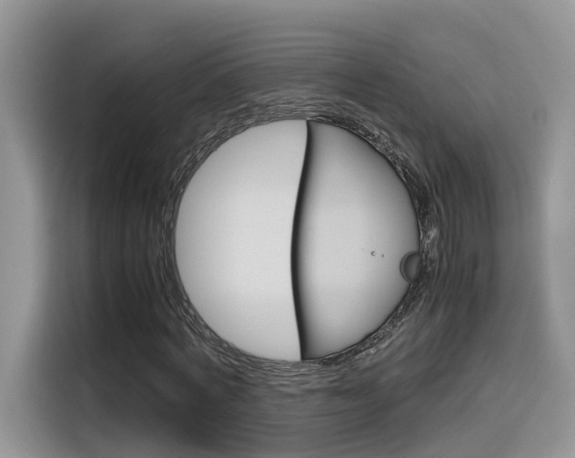 X0000116350772200912011037