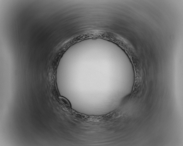 X0000116350773200912011037