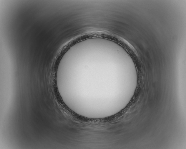 X0000116350775200912011037