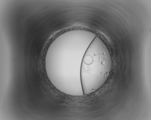 X0000116350776200912011037