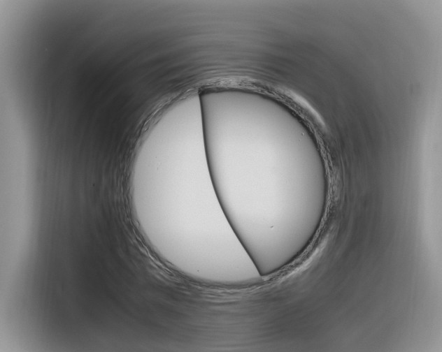 X0000116350777200912011037