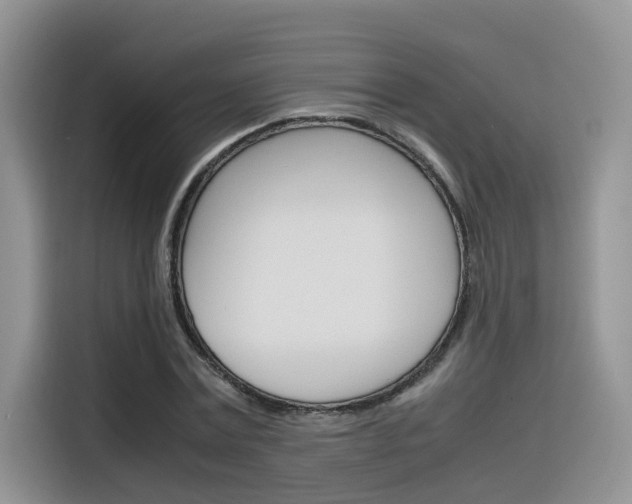 X0000116350779200912011037