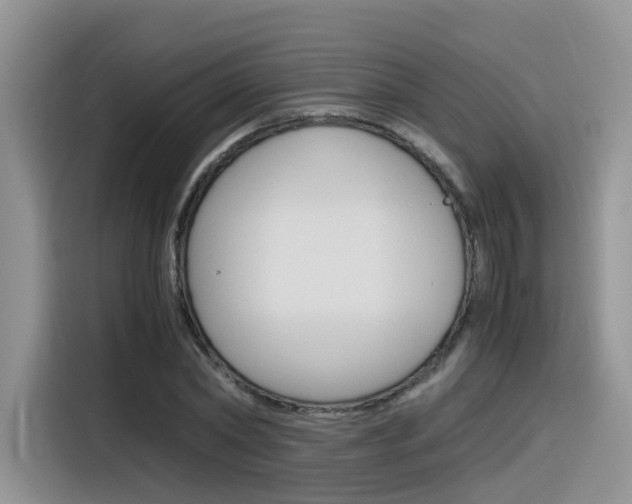 X0000116350782200912011037