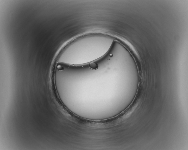 X0000116350783200912011037