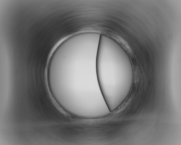 X0000116350796200912011037