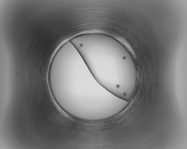 X0000116350805200912011037