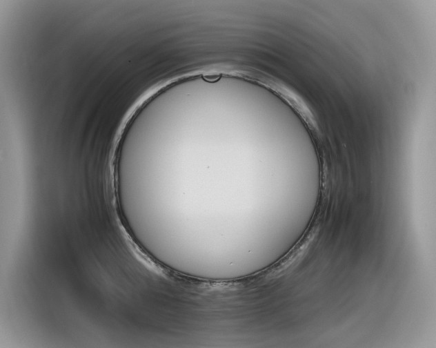 X0000116350808200912011037