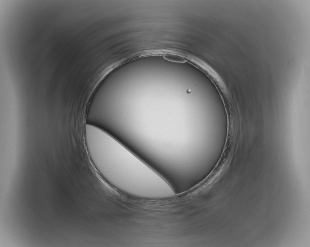 X0000116350809200912011037