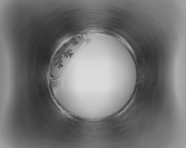 X0000116350810200912011037