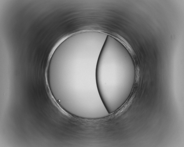 X0000116350812200912011037