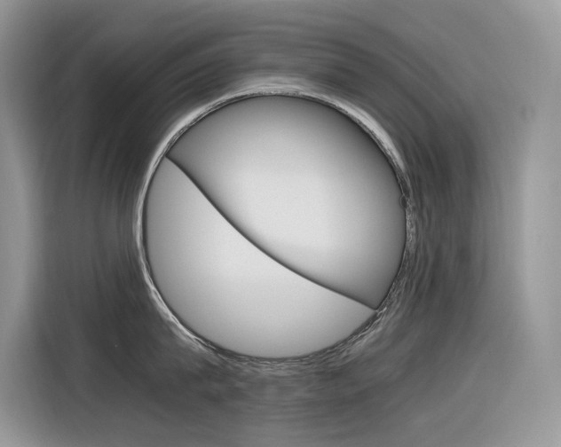 X0000116350815200912011037