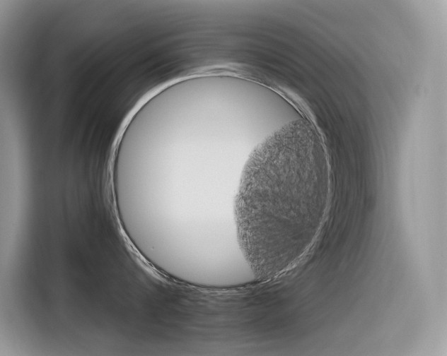 X0000116350816200912011037