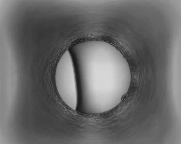 X0000116350817200912011036