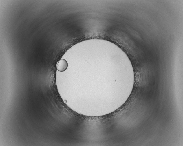 X0000116350820200912011036