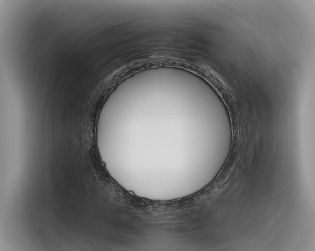 X0000116350821200912011036