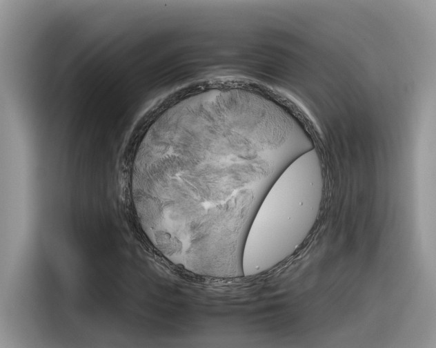X0000116350823200912011036