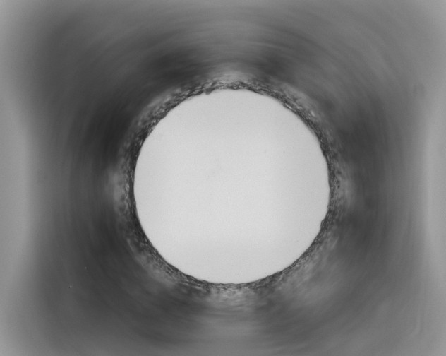 X0000116350824200912011036