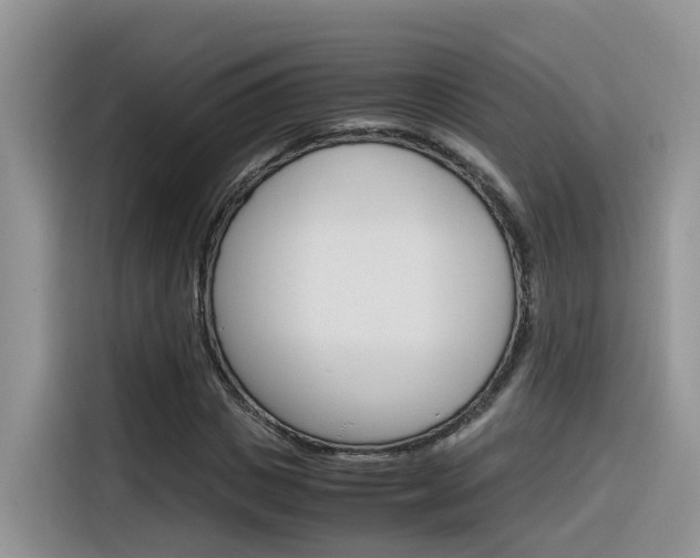 X0000116350825200912011036