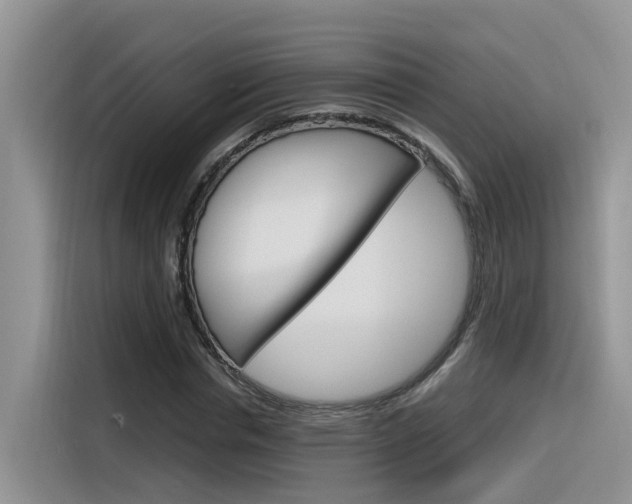 X0000116350826200912011036
