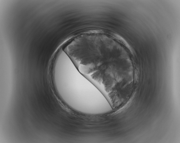 X0000116350827200912011036