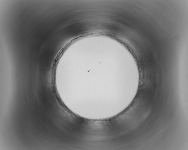 X0000116350828200912011036