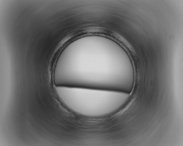 X0000116350829200912011036