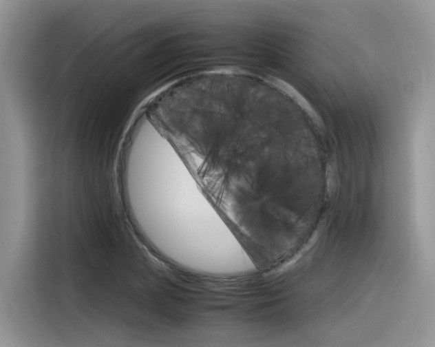 X0000116350831200912011036