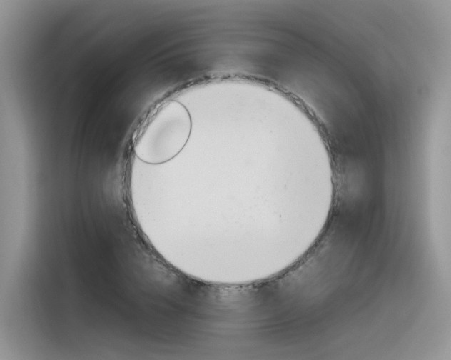X0000116350832200912011036