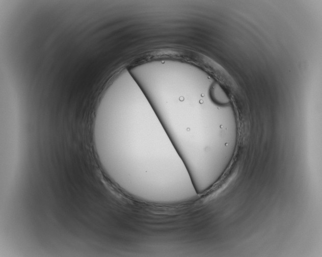 X0000116350833200912011036