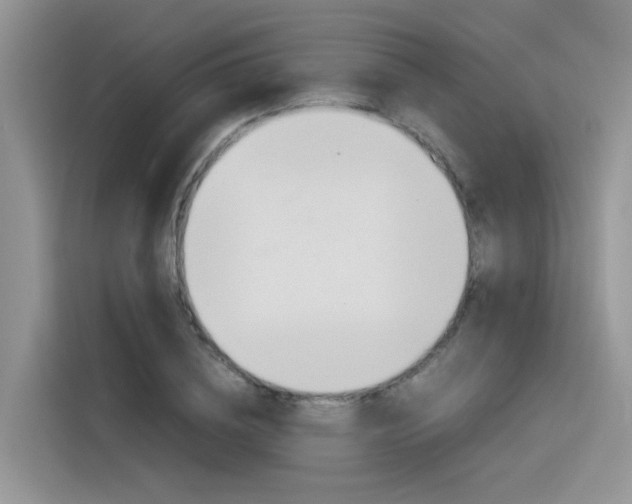 X0000116350836200912011036