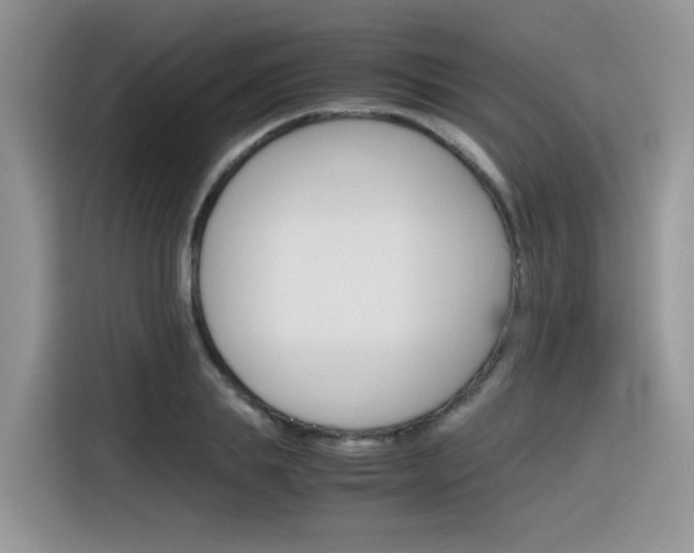 X0000116350839200912011037