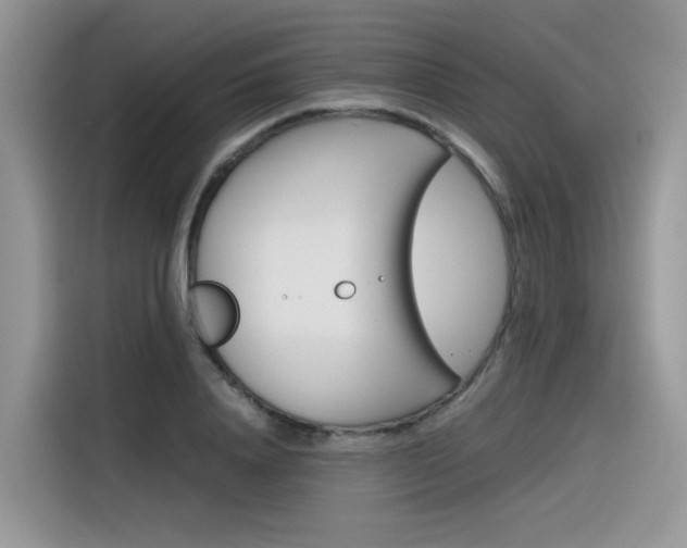 X0000116350840200912011037