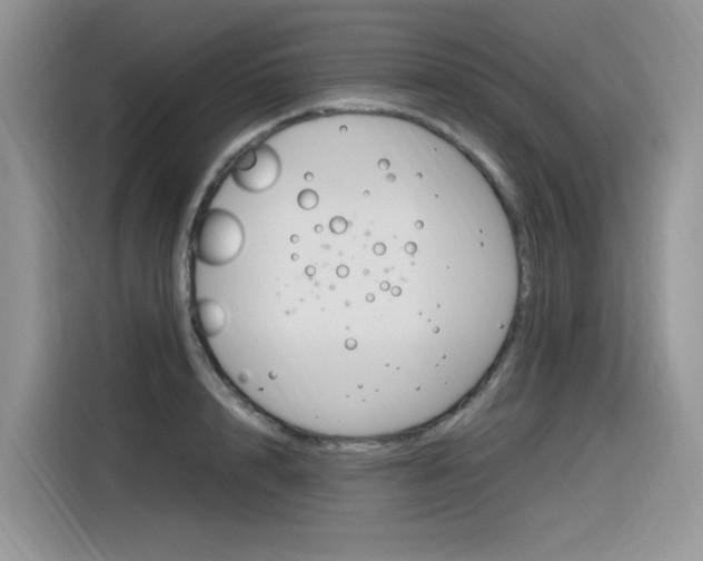 X0000116350848200912011037