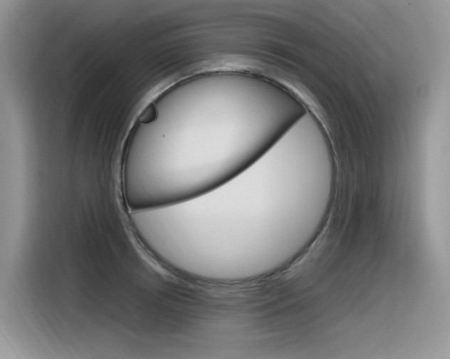 X0000116350850200912011037